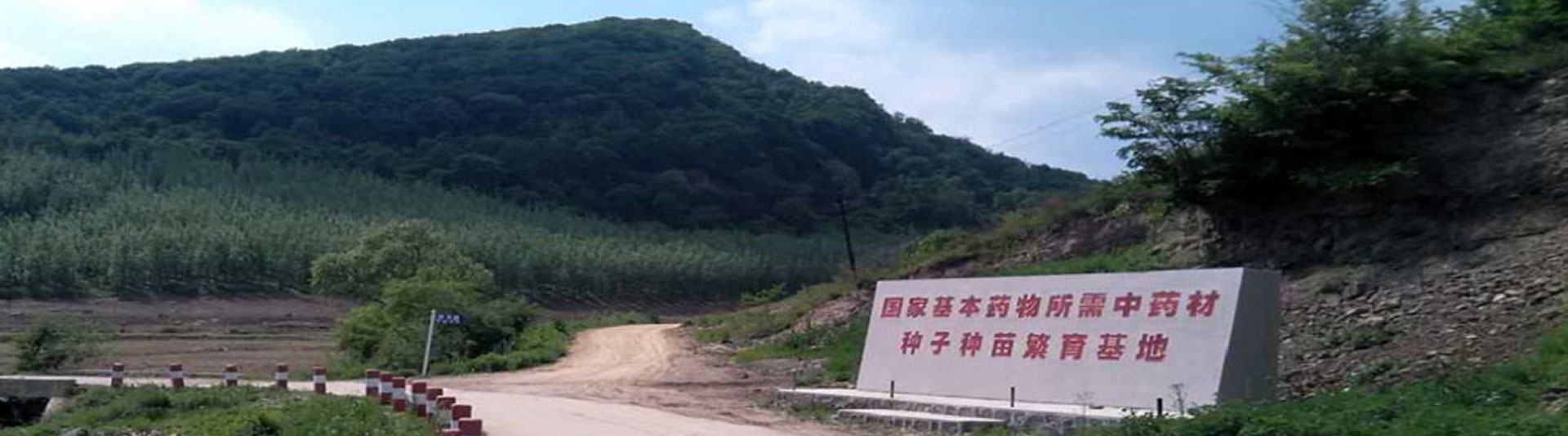 地產